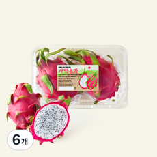 온브릭스 주식회사 농업회사법인 베트남산 사막용과, 6개, 1kg