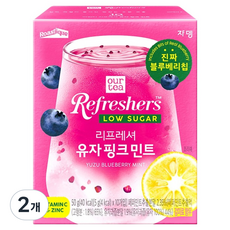 아워티 리프레셔 유자 핑크 민트 로우슈가 과일차, 5g, 2개, 10개입