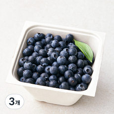 아주마 무농약 인증 산지직송 작아도 맛있는 블루베리, 250g, 3개