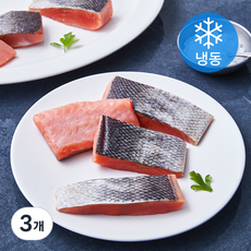 선도 국내산 연어살 (냉동), 3개, 500g