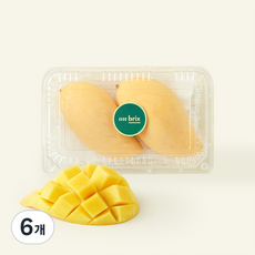 온브릭스 주식회사 농업회사법인 베트남산 깨오망고, 6개, 700g