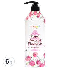 탐사 플로랄 퍼퓸 샴푸, 605ml, 6개