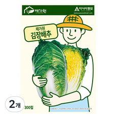 아시아종묘 씨앗 김장배추 300립, 2개