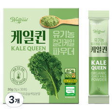 웰트릿 케일퀸 유기농 컬리케일 파우더, 30g, 3개