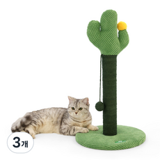 제스파 반려동물 피카노리 선인장 스크래쳐, 그린, 3개