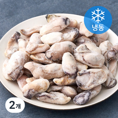 아침앤저녁앤 국내산 굴 (냉동), 1kg, 2개