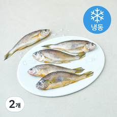 일품 법성포 이력추적 참조기 (냉동), 2개, 500g(특대/5마리)