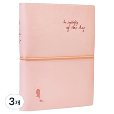 Iciel design of the day 計畫本日記本 M, 3個, 粉紅色
