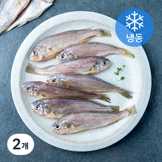 아라장 여수 참조기 10미 (냉동), 2개, 500g