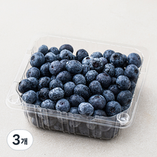 프레시픽 국내산 블루베리, 300g, 3개