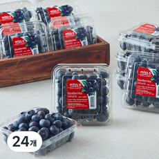 칠레산 블루베리, 24개, 125g