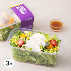 샐러드마녀 수비드 닭가슴살 샐러드, 260g, 3개