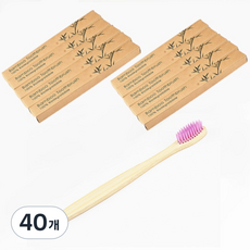칼리오페 대나무 칫솔 퍼플, 40개, 1개입