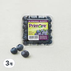 선우 칠레산 블루베리, 125g, 3개