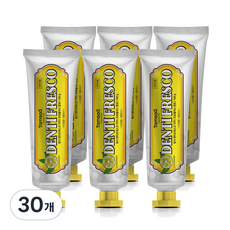 탐사 뉴 덴티프레스코 레몬민트향 구취케어 치약, 100g, 30개