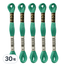 브랜드얀 DMC 자수실 25번 면사, 3851, 30개