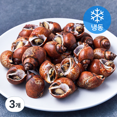 자숙 범고동 (냉동), 3개, 500g