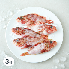 제주어가 손질 생물 솔치 우럭 5~7마리 (냉장), 3개, 750g