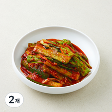 콕집어콕 콕 오이부추김치, 1kg, 2개