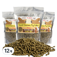 기닉스 기니피그 사료, 700g, 12개