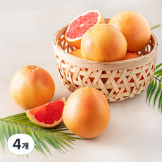 다조은 남아공산 자몽, 4개, 3kg(8~10입)