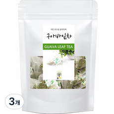 숲으로허브 구아바잎차, 1g, 100개입, 3개