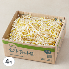 풀무원 소가 콩나물, 1kg, 4개
