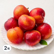 프레시픽 김천 왕자두, 2개, 1kg(11~15개 내외)