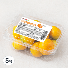 곰곰 고당도 한입 감귤, 500g, 5팩