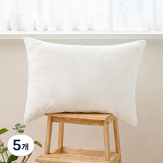 디베이직 호텔용 마이크로화이바 지퍼형 베개솜, 화이트, 5개