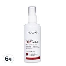 리커버리 시카 미스트, 100ml, 6개