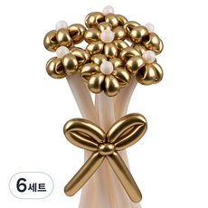 셈퍼텍스 요술풍선 데이지 튤립 꽃다발 만들기 세트, 리플렉스 골드, 6세트