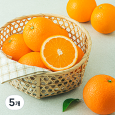 고당도 네이블 오렌지, 2.4kg내외(점보, 8개입), 5개