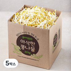 곰곰 아삭한 콩나물, 3.5kg, 5박스