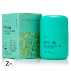 에이아이미 코오롱제약 썸머리프 코엔자임Q10 30g, 2개, 60정