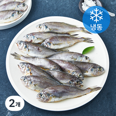 국내산 대용량 굴비 20미 (냉동), 2개, 1kg