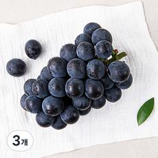 한반도 비파괴 당도선별 거봉, 3개, 500g