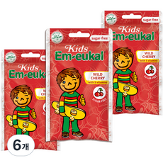 엠오이칼 키즈 체리맛 캔디, 75g, 6개
