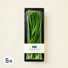 프리미엄 사천 노지부추, 200g, 5개