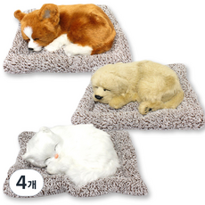 AUTO CREW 除濕除臭 含炭可愛寵物 美國短毛貓 小, 90g, 4個