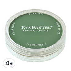 팬파스텔 신한화구 파스텔 PERMANENT GREEN SHADE 640.3 9ml, 4개, 1색