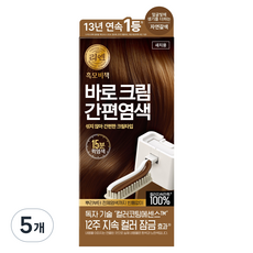 리엔 흑모비책 바로크림 간편염색, 자연갈색 6N, 5개