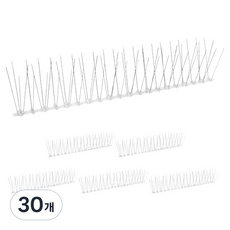 앙플랜트 비둘기 퇴치 버드 스파이크 50cm, 2kg, 30개