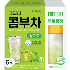 다농원 데일리 콤부차 청포도, 5g, 20개입, 6개