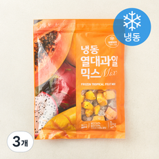 베트남산 열대과일 믹스 (냉동), 3개, 1kg