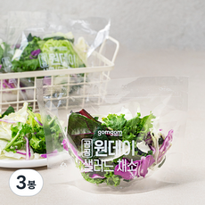 곰곰 원데이 샐러드 채소 3개입, 210g, 3봉
