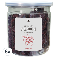 아름다운정성 말린 건조 건크랜베리, 6개, 200g