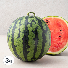 농협 당도선별 수박, 4kg미만, 3개