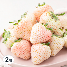 ONLYFARM 담양 화이트 딸기, 500g, 2개