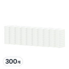 BASF 巴斯夫 神奇海綿 中型 正裝, 300個